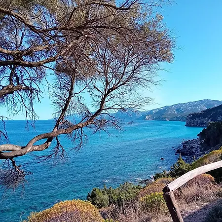 Su Acu 3* 多尔加利